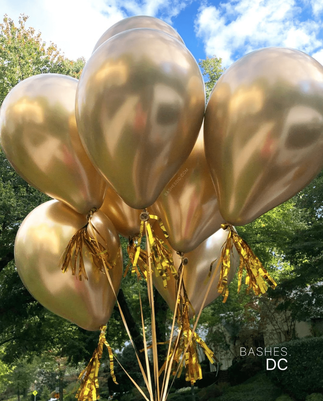 BASHES. Balloons Chrome Gold Mini Latex Balloon Set