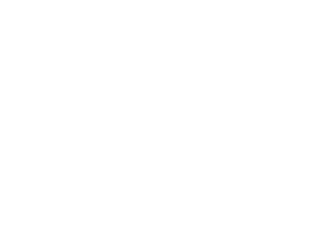 Bashes Party Company official logo