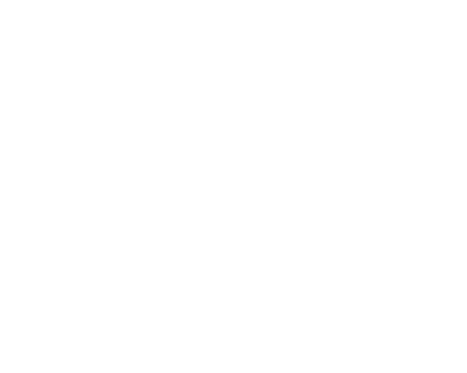 Bashes Party Company official logo