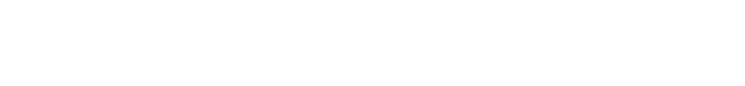 Bashes Party Company official logo in white text