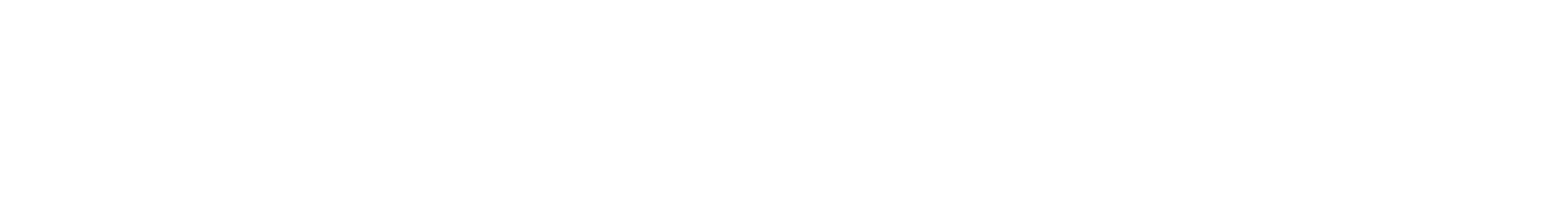 BASHES. Party Company logo