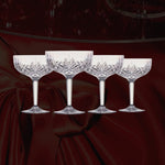 BASHES. Acrylic Champagne Coupe Set