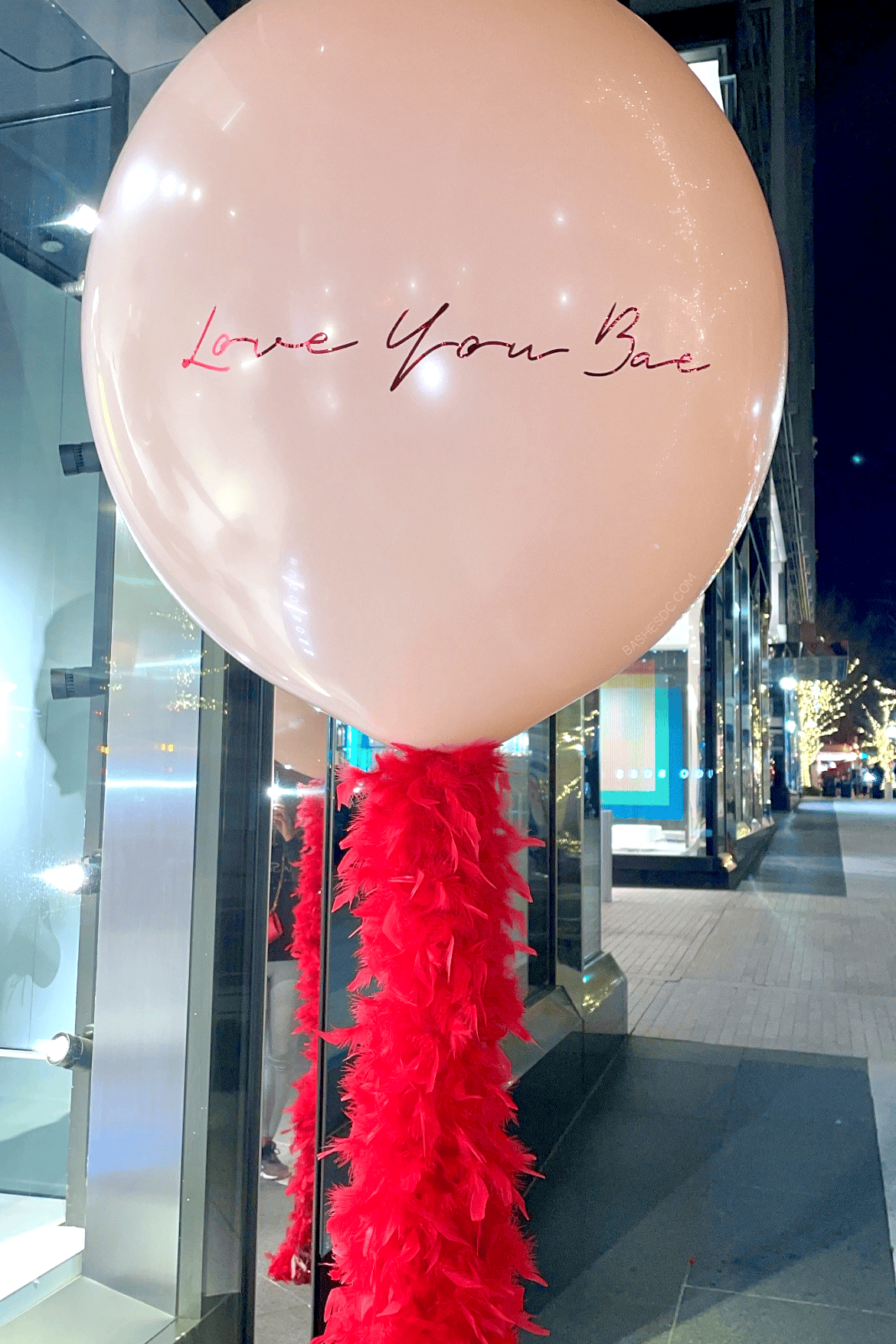 BASHES. Balloon Fancy Feathers Balloon - Valentine's Day Edition