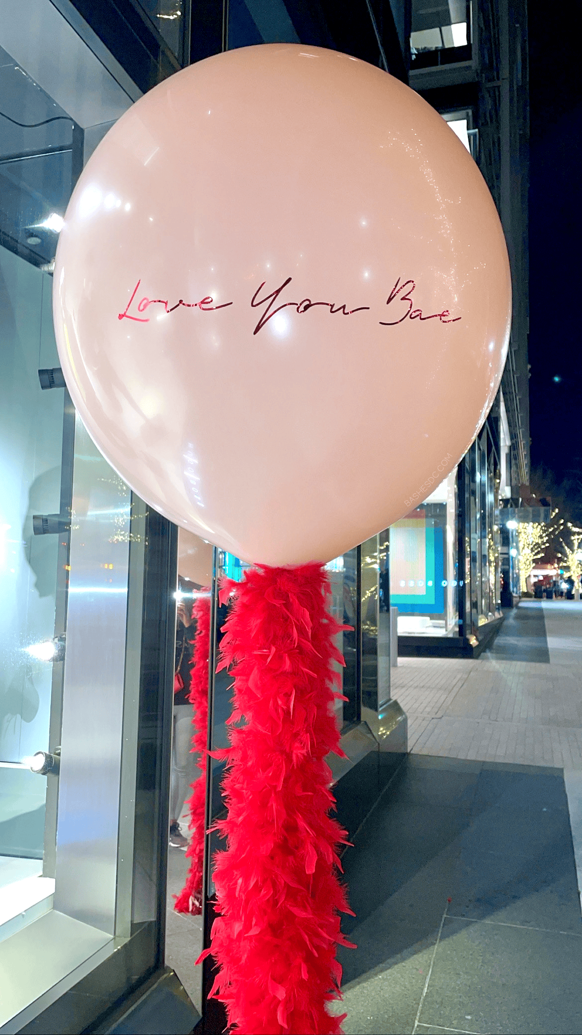 BASHES. Balloon Fancy Feathers Balloon - Valentine's Day Edition