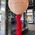 BASHES. Balloon Fancy Feathers Balloon - Valentine's Day Edition