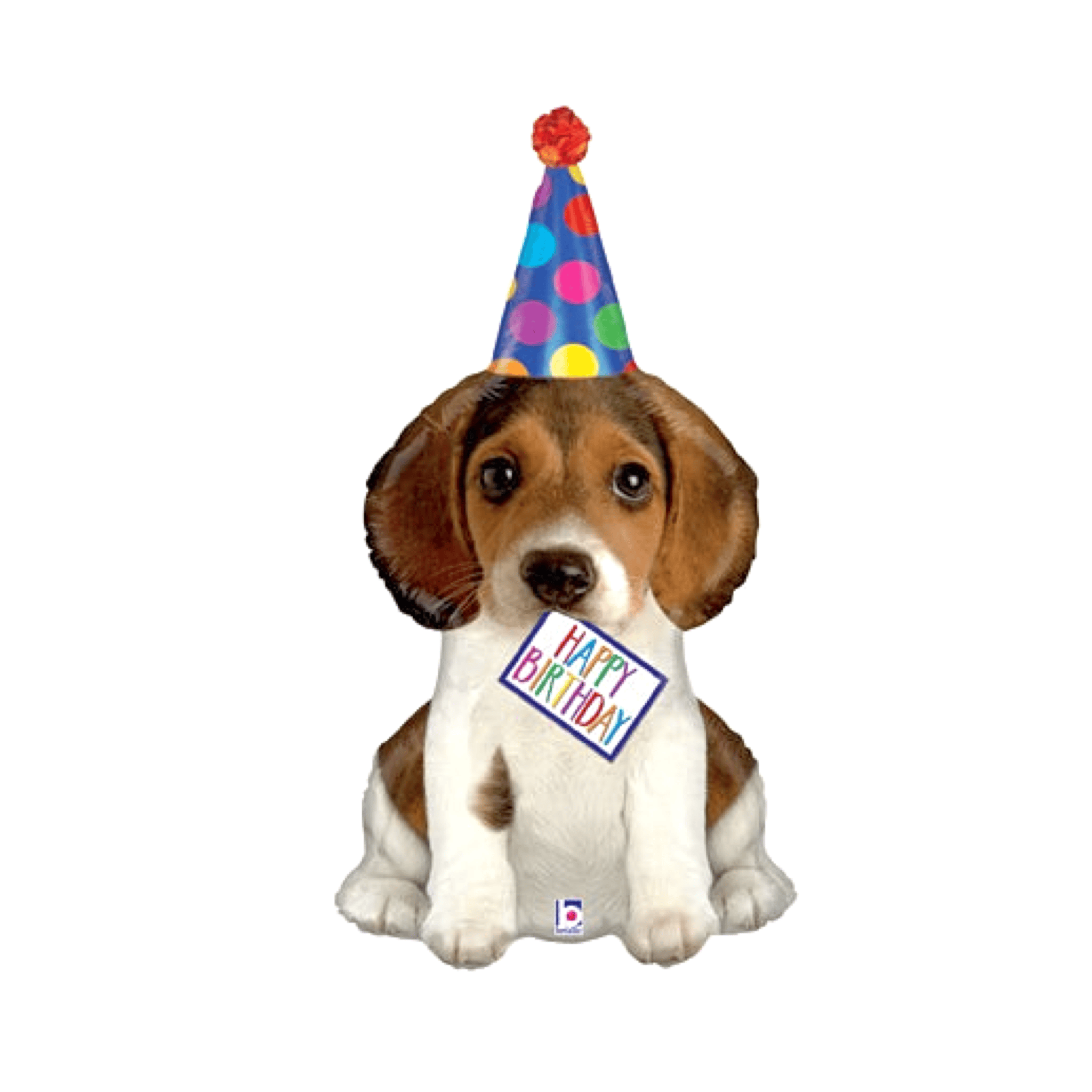 BASHES. Balloon Happy Birthday Pup Balloon
