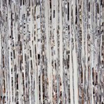 BASHES. Fringe Curtain Silver Fringe Curtain Set