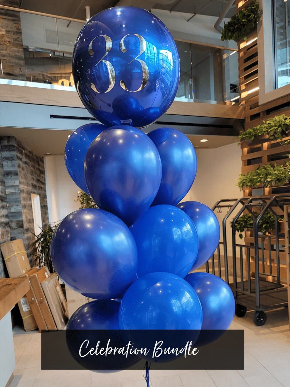 BASHES. Balloons BASHES. Signature Celebration Balloon Bundle