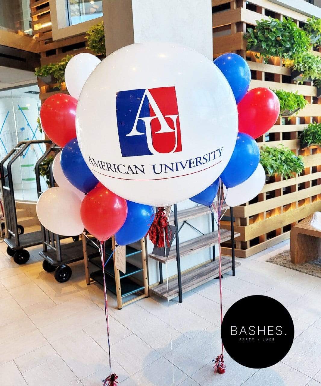 BASHES. BASHES. Signature Alma Mater Grad Bundle