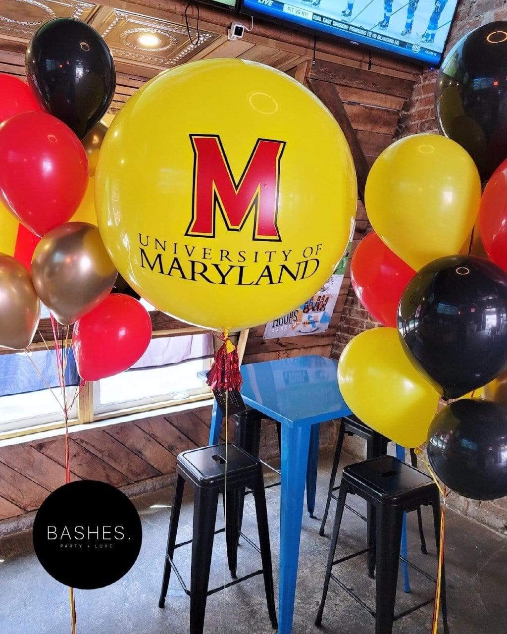 BASHES. BASHES. Signature Alma Mater Grad Bundle